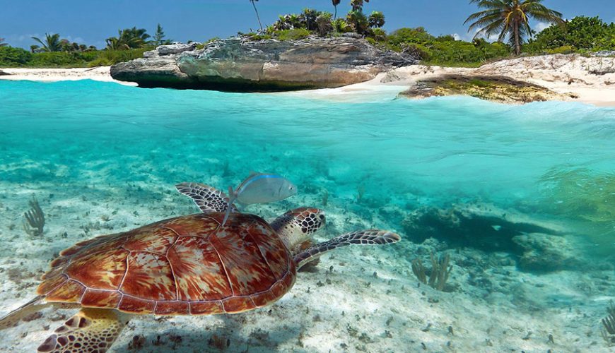 Playas de Akumal en Quintana Roo México