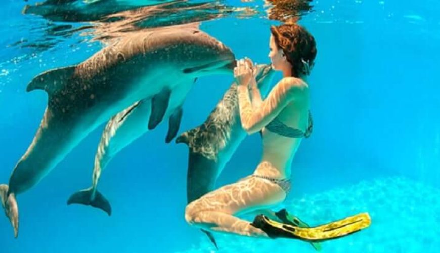 Aventuras en la naturaleza, como el avistamiento de ballenas y delfines en Cancún