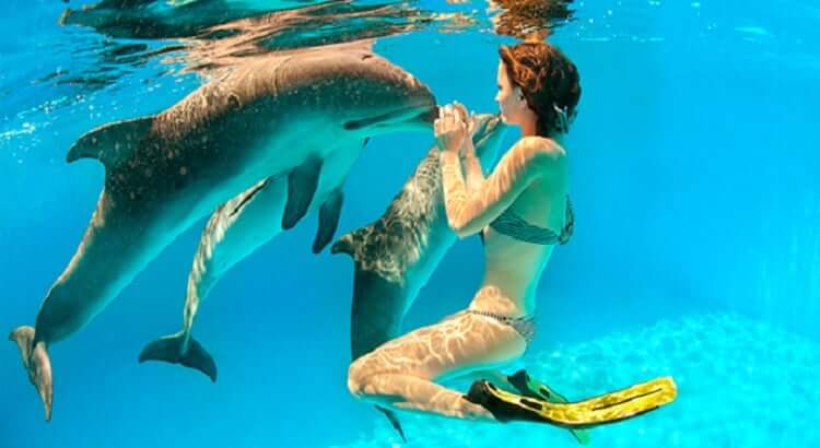 Aventuras en la naturaleza, como el avistamiento de ballenas y delfines en Cancún