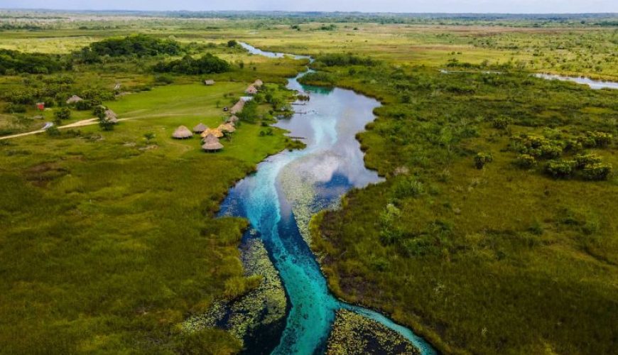 Explorar las hermosas reservas biológicas de la península de Yucatán