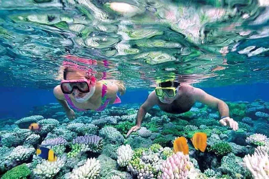 Tour en catamarán a Isla Mujeres con snorkel, barra libre y comida incluida